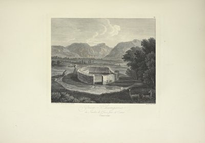 Ynca-Chungana, do Jardim do Inca perto de Canar, desenhado por Gmelin, gravado por Morel, ilustração de 