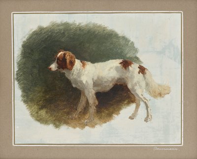 raiz de Friedrich August Mathias Gauermann