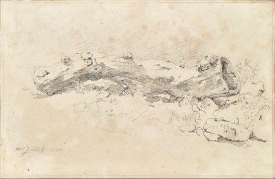 Tronco de árvore oco deitado de Friedrich August Mathias Gauermann