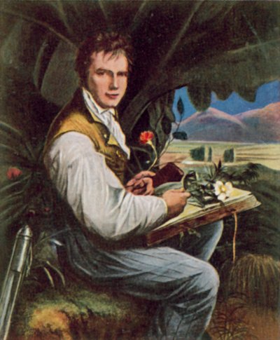 Alexander von Humboldt, geógrafo, naturalista e explorador prussiano (litografia a cores) de Friedrich Georg (after) Weitsch