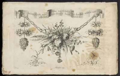 Diferente novo festão de flores e frutas de Friedrich Jacob Morisson