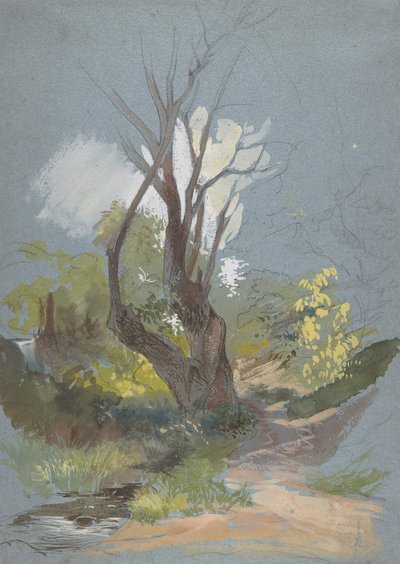 Caminho da montanha com uma árvore, 1820-78. de Friedrich Nerly