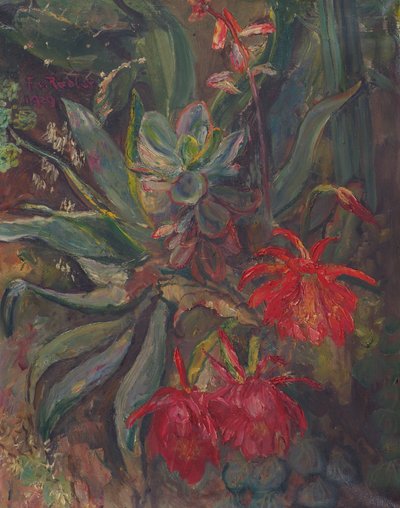 cactos florescendo de Friedrich Radler