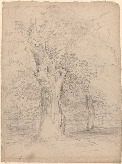Uma árvore antiga com figuras em uma paisagem de Friedrich Salathé