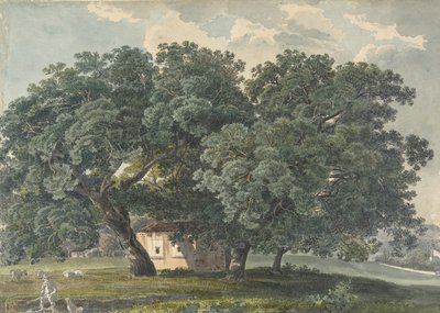 Paisagem italiana com árvores reto, 1815-21. de Friedrich Salathé