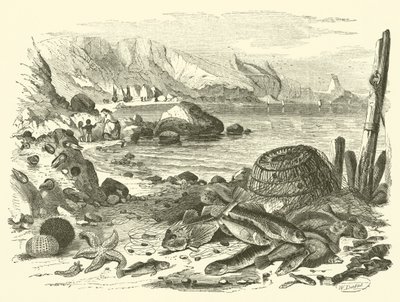 Pesca (gravura) de Friedrich Specht