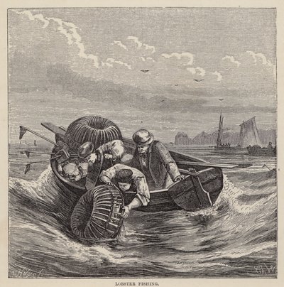 Lobster Fishing (gravura colorida) de Friedrich Specht