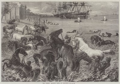 Banho matinal dos cavalos em Calcutá de Friedrich Wilhelm Keyl