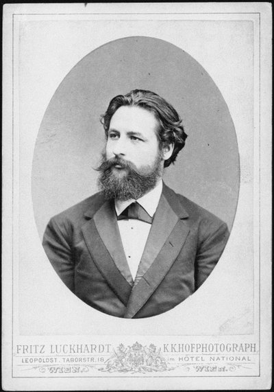 Retrato do pianista e compositor Heinrich Karl Johann Hofmann 1842-1902. de Fritz Luckhardt