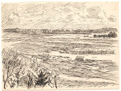 Paisagem coberta de musgo de Fritz Syberg