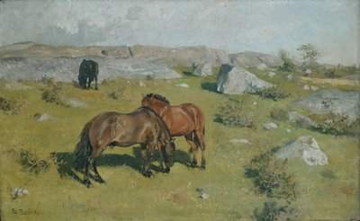  de Fritz Thaulow
