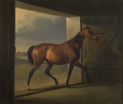 Juta de Fritz Thomsen