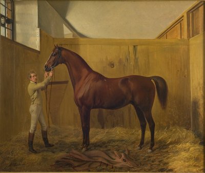 Rubis de Fritz Thomsen