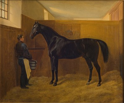Pernas de Fritz Thomsen