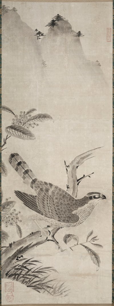 Falcão de Fujiwara Masayoshi