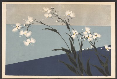 Shasei sôka môyô, Padrões de plantas e flores da vida de Furuya Korin