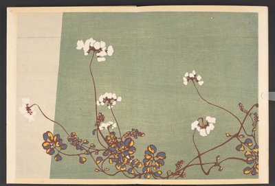 Shasei sôka môyô, padrões de plantas e flores da vida de Furuya Korin