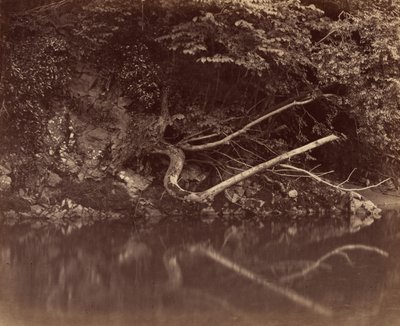 Margem do Rio no Vale de Neath, c. 1855. de G. B. Gething