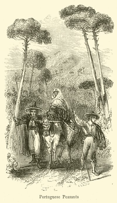 Camponeses portugueses de G. F. Sargent