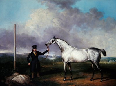 Cavalheiro segurando um cavalo de corrida cinza em um campo (óleo sobre tela) de G. Jackson