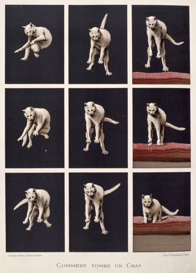 Cat Falls, das últimas maravilhas da ciência por Daniel Bellet (chromolitho) de G. Lasellaz