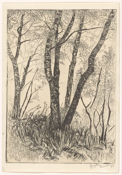 Árvores na grama alta de G. van der Mey (signed by artist)