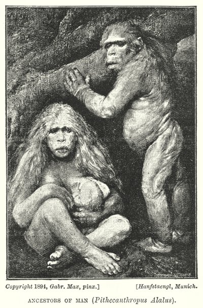Ancestrais do Homem, Pithecanthropus Alalus (litho) de Gabriel Max