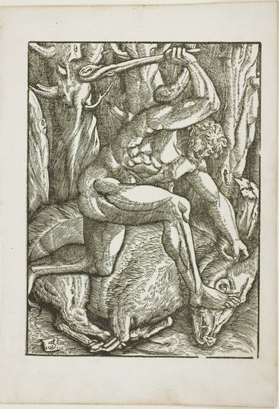 Os trabalhos de Hércules: Hércules subjugando o javali de Erimanto de Gabriel Salmon