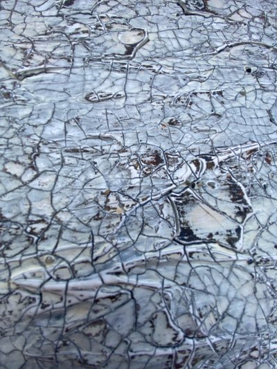  de Gabriela Aleksandra Szuba