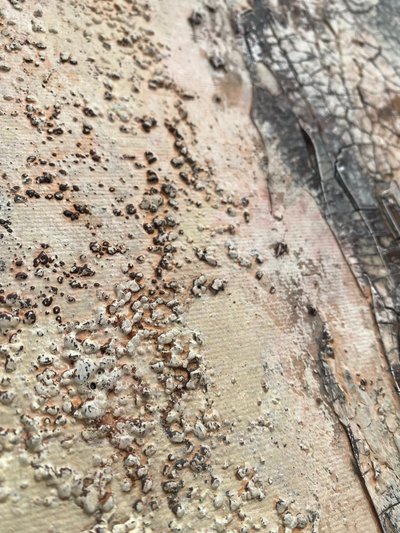  de Gabriela Aleksandra Szuba