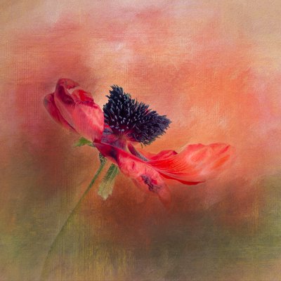  de Gaille Gray