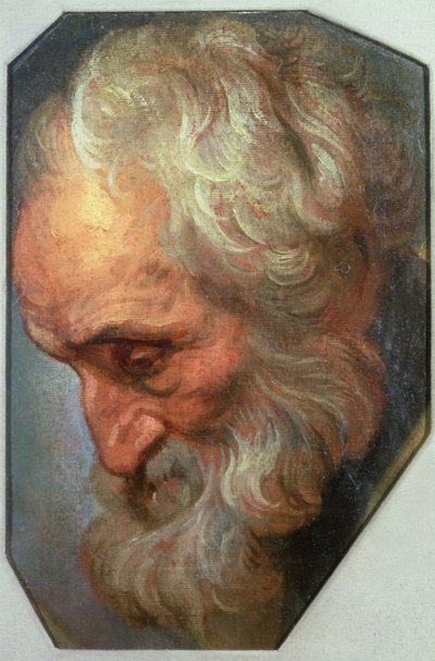 Cabeça de um apóstolo de Gaspar De Crayer