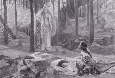 A Revelação (Brunnhilde descobrindo Sieglinde e Siegmund) (litho) de Gaston Bussiere