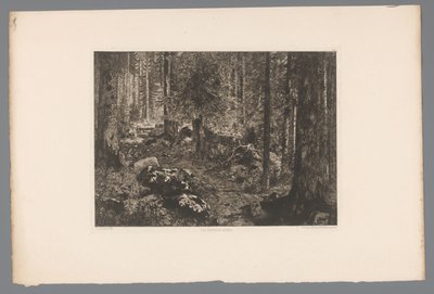 Boslandschap Os abetos dos Doubs (título no objeto) França etsen uit 1876 (título da série) Gravura em 1876 (título da série) de Gaston Coindre
