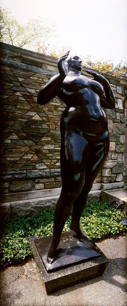 Mulher em Pé (Elevação) de Gaston Lachaise