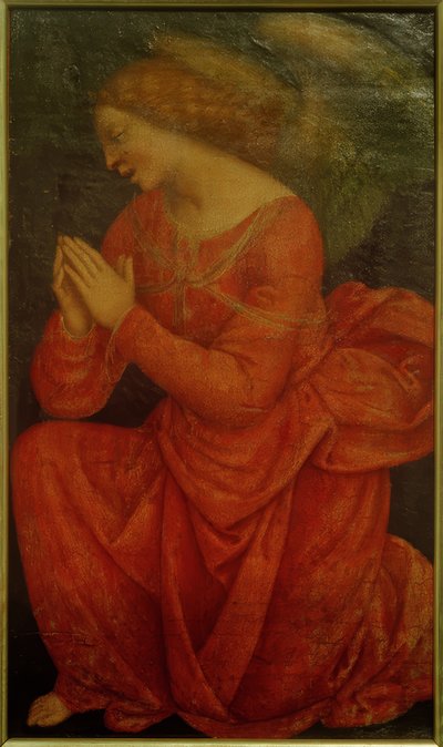 Anjo adorador de Gaudenzio Ferrari