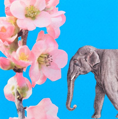 Flor de elefante, 2018, colagem de Genevieve French
