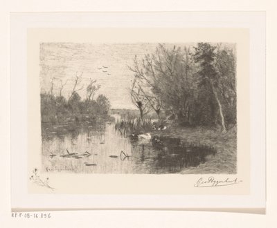Patos ao longo e na margem de um lago Xixi de pato (título original) de Geo Poggenbeek (signed by artist)