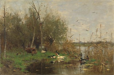 Patos junto a um abrigo de patos numa vala de Geo Poggenbeek