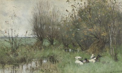 Patos perto de um salgueiro de Geo Poggenbeek