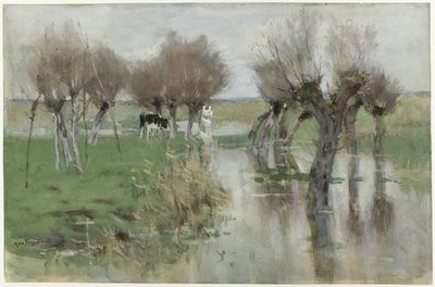 Água alta no prado de Geo Poggenbeek