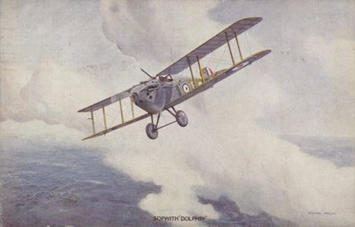 Avião de combate Sopwith Dolphin (lito colorido) de Geoffrey (after) Watson