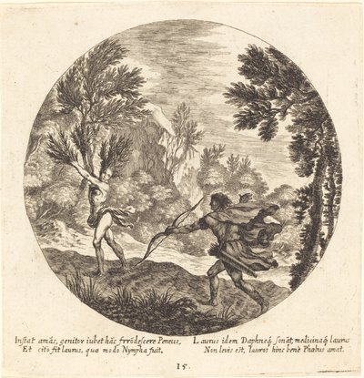 Daphne virando uma Laurel de Georg Andreas Wolfgang the Elder