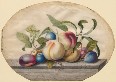Arranjo de frutas: pêssegos e prumos em uma laje de mármore de Georg Dionysius Ehret