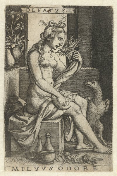 Olfato (Olfactus) Olfatvs milvvs odore (título no objeto) Cinco Sentidos (título da série) de Georg Pencz