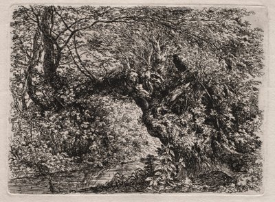 The Old Willow at a Brook, 1794. de Georg von Dillis