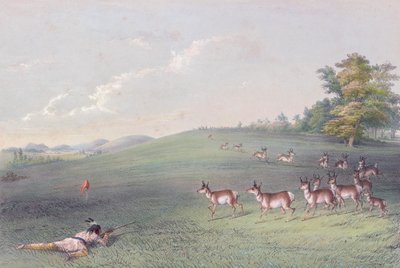 Portfólio Índio Norte-Americano de George Catlin de George (after) Catlin