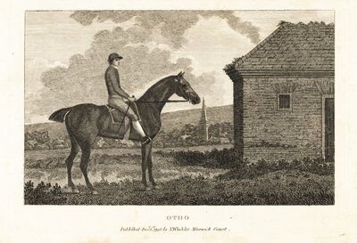 Retrato do cavalo de corrida puro-sangue Otho de George (after) Stubbs