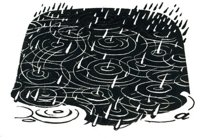 Design de poça de chuva (raspador) de George Adamson