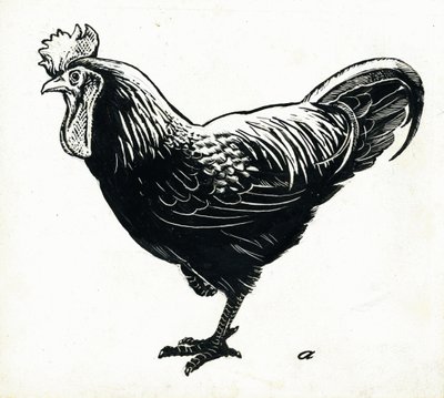 A galinha, década de 1950 (placa de raspagem) de George Adamson